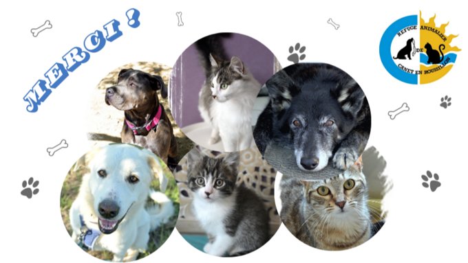 croppedimage-850299208b7c46d2b26c3a308a41297c.png