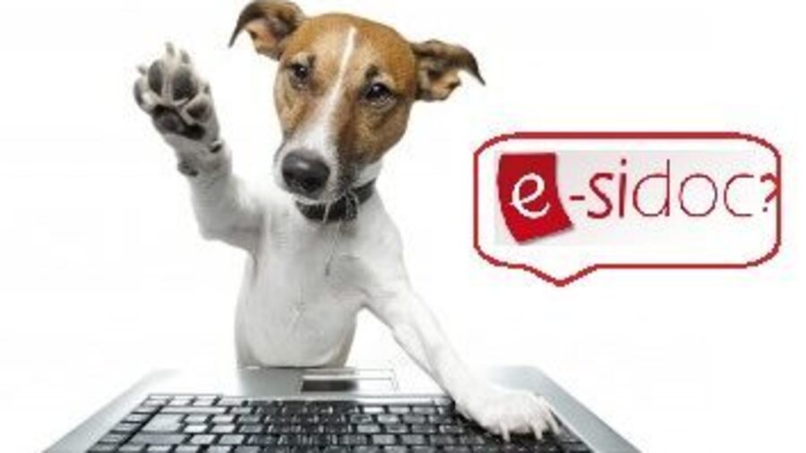 dog computer esidoc.jpg